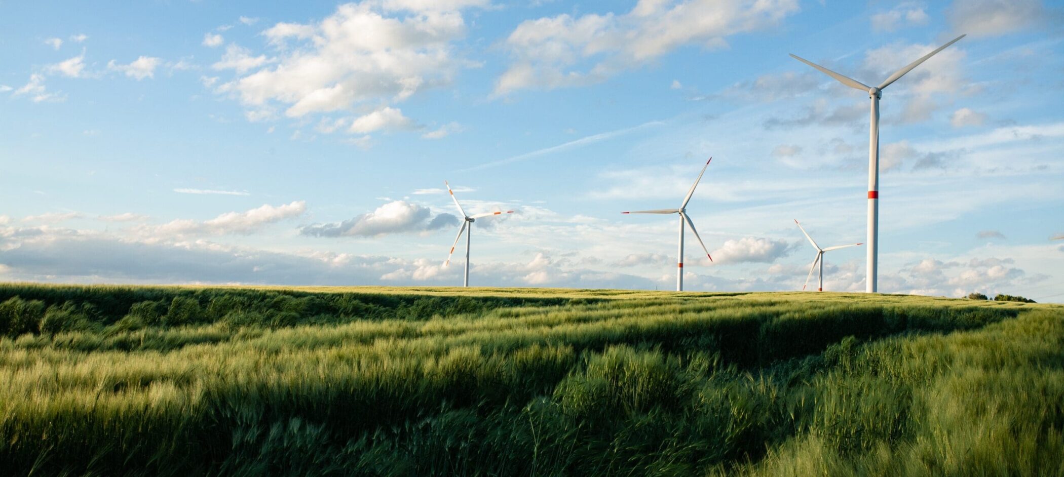 beautiful-grassy-field-with-windmills-in-the-distance-under-a-blue-sky